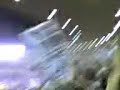FJV - Vasco 3 x 0 Flavela (Samba Unidos 2) FJV - Vasco 3 x 0 Flavela (Samba Unidos 2)