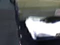 Rottem saltando el Mostrador.(?)