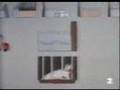 Bill Mollison - 5 - Las Aves de Corral