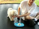 Molly gets more ice cream! Part 1 Molly gets more ice cream! Part 1