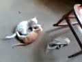 amor verdadero