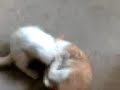 amor verdadero