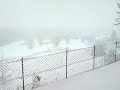 Gudo la neve