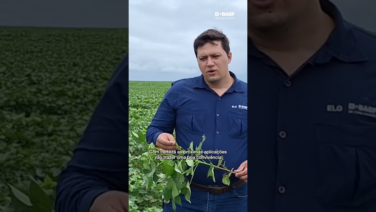 Quais são os desafios desta safra de Algodão?