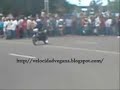 Carrera Vegana (Velocidad Vegana)