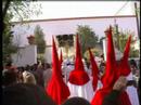 Domingo de Ramos 2007_ Borriquita Alcal� de Guada�ra_3