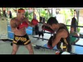 Phil Baroni returns to Tiger Muay Thai & MMA Training Camp, Phuket, Thailand