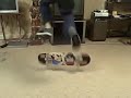 Nollie Flip and Switch Flip (Sketchy)