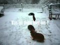Kaninchen im Schnee