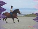 Brino, Love will show us everything