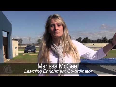 Learning Through Movement