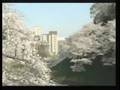 videos de Sakura Metropolitan