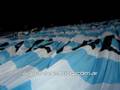 Fiesta en el gasometro - Racing