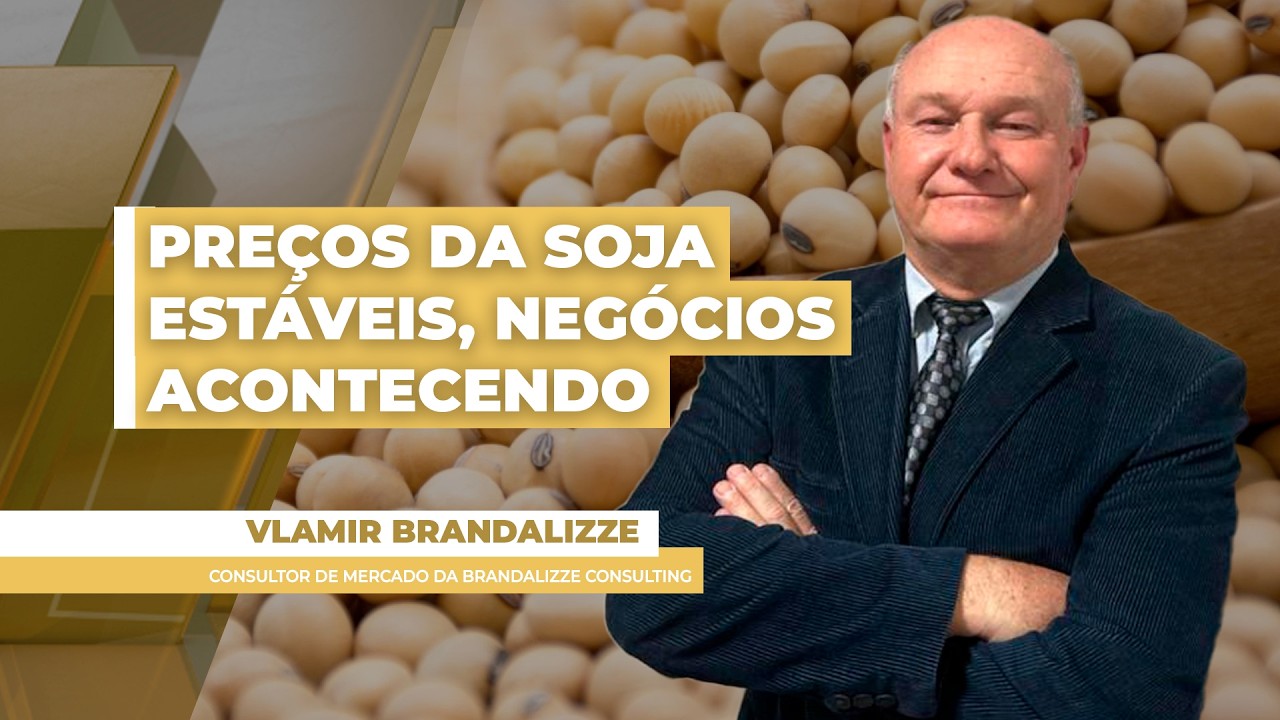 Preços da soja no mercado brasileiro dão oportunidade ao produtor, apesar da pressão em Chicago