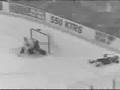 Dennis Wideman - My legs have legs