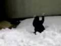videos de 07012009052