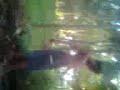 Click here to watch this video jithin joy elanji
