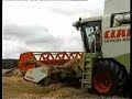 Cork Wheat Harvesting Cork Wheat Harvesting