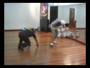 Sehati Berdansa Amyza & Khairil di Studio Sehati Berdansa Amyza & Khairil di Studio