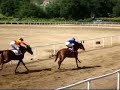 Casolimor 2