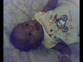 22 days old Sancia(Kushi)
