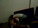 Patrick Vs Dominic ... Partum Duo