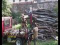 Caricatore Forestale CF325Z
