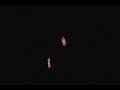 YoYoNation - Yomega Lightbeam Yo-Yo