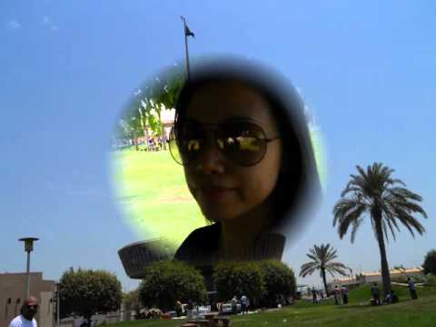 how to perform mmdst