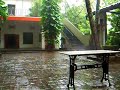 Barefoot in the rain