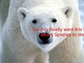 save giant pandas and polar bears