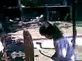 Bailando con tomas