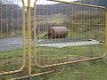 Dobek jump1 Dobek jump1