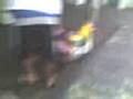 videos de capy {redi} 2part