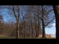 Steinhuder Meer - Into the nature -