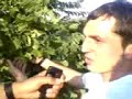 tirebolu.html