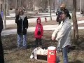 Tree Training Day at Calumet Park, Chicago