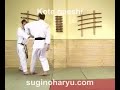 Magnus Cederblad - Kote Gaeshi