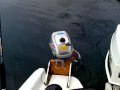 Honda 2hp Outboard