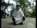 Wudang Master Of Dragongate Kungfu 武当龙门派传人