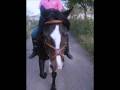 videos de Qlementine