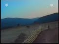 Recopilacion de caidas y golpes de animales