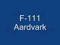 F-111 Aardvark (Pig)