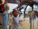The Stegosaurus Dance