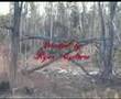 Winter Harbor- The Opening Credits