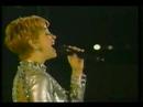 Yolandita El Suceso II