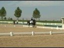 SHN Fourth Level ATR, HSA Haley\ SHN Fourth Level ATR, HSA Haley\