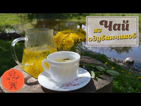 Чай из одуванчиков - как правильно приготовить цветки и заваривать чай: рецепт, пропорции от Cookish