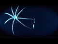 rare-deep-sea-frilled-shark-dying.html
