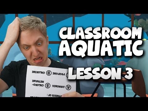 Classroom Aquatic - Top Of The Class!! - Lesson 3